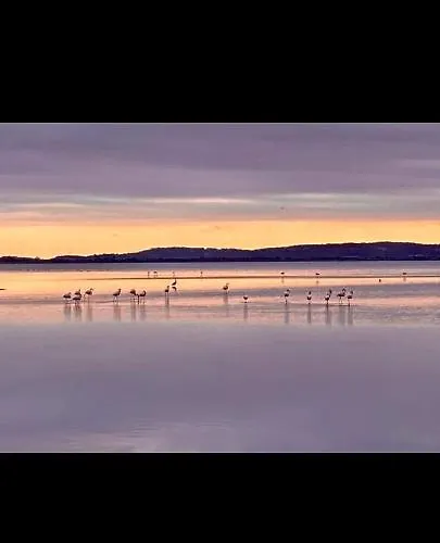 דירה La Via Des Etangs *